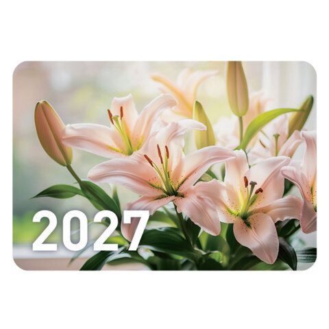 Календарь карманный на 2027 г, BRAUBERG 120 шт., 64х93 мм, АССОРТИ, 20 дизайнов (60 штук), 118489