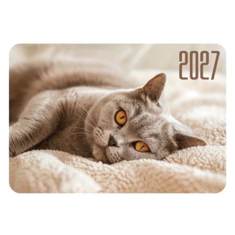 Календарь карманный на 2027 г, BRAUBERG 120 шт., 64х93 мм, АССОРТИ, 20 дизайнов (60 штук), 118489