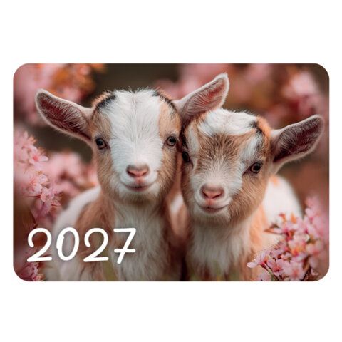 Календарь карманный на 2027 г, BRAUBERG 120 шт., 64х93 мм, АССОРТИ, 20 дизайнов (60 штук), 118489