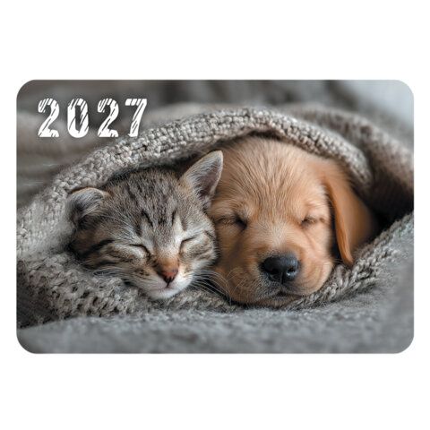 Календарь карманный на 2027 г, BRAUBERG 120 шт., 64х93 мм, АССОРТИ, 20 дизайнов (60 штук), 118489