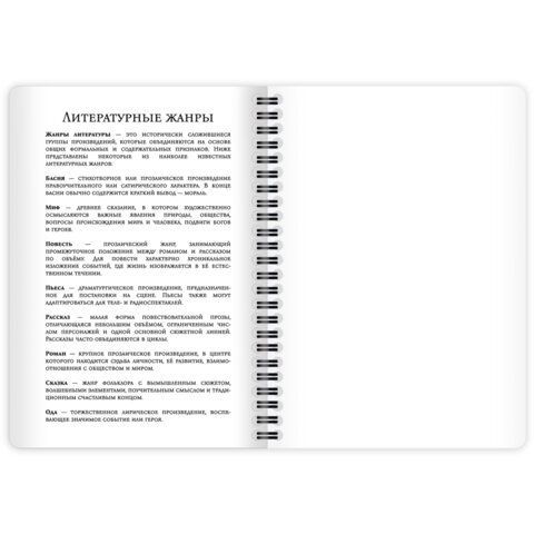 Дневник читательский А5 58 листов, гребень, пластиковая обложка, картон, BRAUBERG, "МИКС", 118528