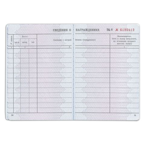 Бланк документа &quot;Трудовая книжка&quot;, 88х125 мм, ГОЗНАК