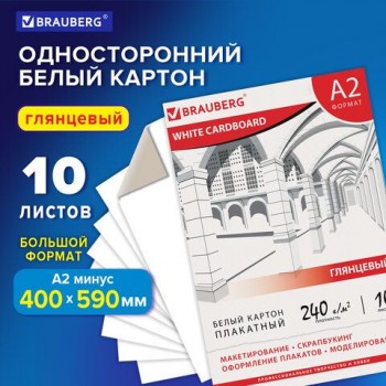 Картон белый БОЛЬШОГО ФОРМАТА, А2 МЕЛОВАННЫЙ (глянцевый), 10 листов, в папке, BRAUBERG, 400х590 мм, 124764