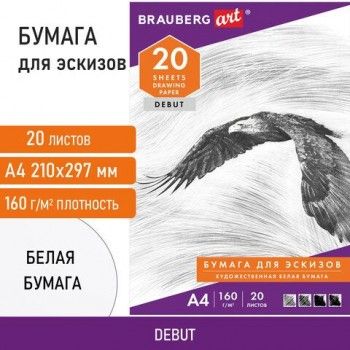 Папка для рисования А4, 20 л., 160 г/м2, BRAUBERG 2 шт., 210х297 мм, "Орел", 125230