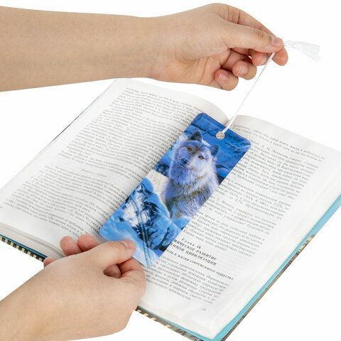 Закладка для книг 3D, BRAUBERG 6 шт., объемная, &quot;Белый волк&quot;, с декоративным шнурком-завязкой, 125752