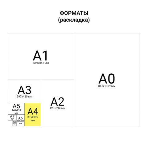 Заготовки деревянные для выжигания, выпиливания, росписи, А4, набор 2 штуки, ОСТРОВ СОКРОВИЩ, 150649