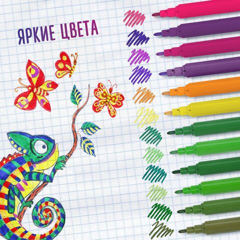 Фломастеры в тубе классические 24 цвета, вентилируемый колпачок, BRAUBERG &quot;PREMIUM&quot;, 152199