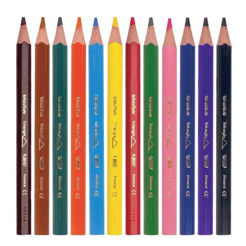 Карандаши цветные утолщенные BIC &quot;Kids Evolution Triangle&quot;, 12 цветов, пластиковые, трехгранные, картонная упаковка, 8297356