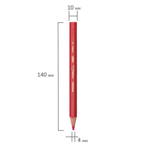 Карандаши цветные утолщенные BIC &quot;Kids Evolution Triangle&quot;, 12 цветов, пластиковые, трехгранные, картонная упаковка, 8297356