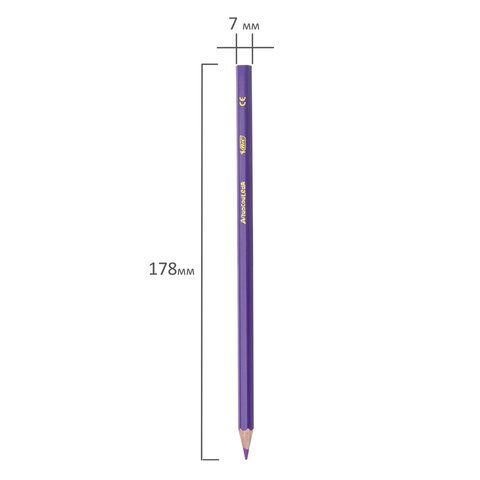 Карандаши цветные акварельные BIC &quot;Aquacouleur&quot;, 12 цветов, заточенные, европодвес, 8575613
