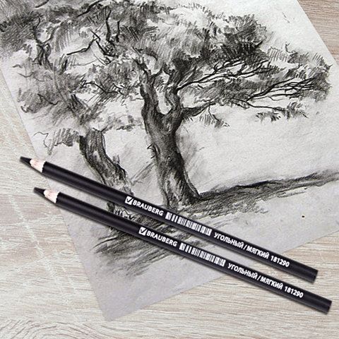 Карандаш (1 штука) угольный BRAUBERG ART 12 шт. CLASSIC, ТВЕРДЫЙ, круглый, корпус черный, заточенный, 181292