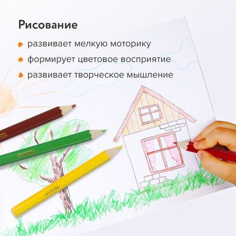 Карандаши цветные ПИФАГОР 4 шт. &quot;МАЛЫШИ-КАРАНДАШИ&quot;, 12 цветов, укороченные, заточенные, 181344