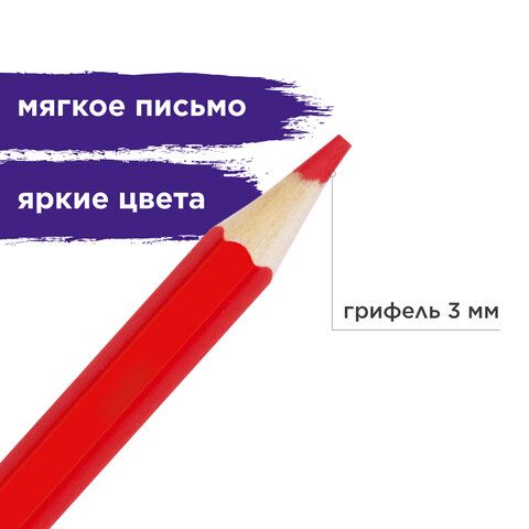 Карандаши цветные акварельные BRAUBERG &quot;АКАДЕМИЯ&quot;, 12 цветов, шестигранные, высокое качество, 181398