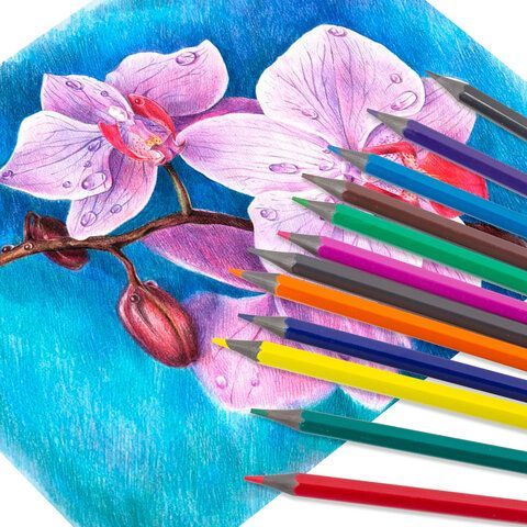 Карандаши цветные ПИФАГОР 4 шт. &quot;СКАЗОЧНЫЙ ГОРОД&quot;, 12 цветов, черный пластик, заточенные, 181583