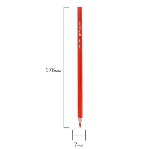 Карандаши цветные BRAUBERG 3 шт. PREMIUM, 6 цветов, шестигранные, грифель 3,3 мм, 181655