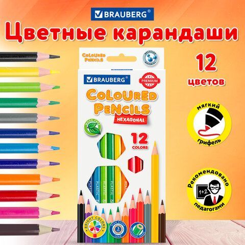 Карандаши цветные BRAUBERG 3 шт. PREMIUM, 12 цветов, пластиковые, шестигранные, грифель 3 мм, 181666