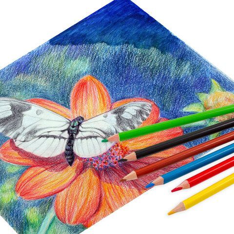 Карандаши цветные акварельные BRAUBERG 3 шт. PREMIUM AQUARELLE, 6 цветов, грифель 4 мм, 181670.