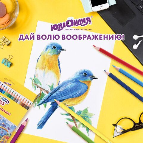 Карандаши цветные ЮНЛАНДИЯ &quot;ДОМИКИ&quot;, 24 цвета, пластиковые, классические, грифель мягкий 3 мм, 181838