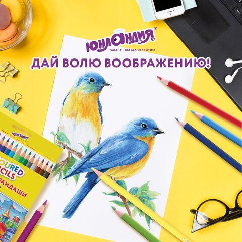 Карандаши цветные ЮНЛАНДИЯ &quot;ДОМИКИ&quot;, 36 цветов, пластиковые, классические, грифель мягкий 3 мм, 181839
