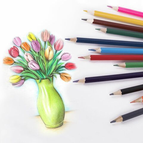 Карандаши цветные стираемые с ластиком BRAUBERG ERASABLE, 12 цветов, мягкий грифель 3 мм, 181932
