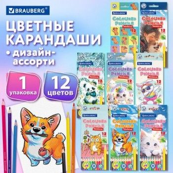Карандаши цветные "АССОРТИ 8 ДИЗАЙНОВ 3+ лет", 12 цветов, трехгранные, BRAUBERG 24 шт., 182055