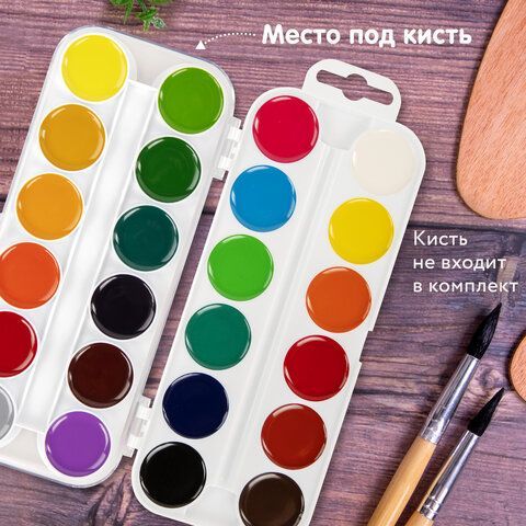 Краски акварельные BRAUBERG &quot;МАГИЯ ЦВЕТА&quot;, 24 цвета, медовые, круглые кюветы, пластиковый пенал, 190554