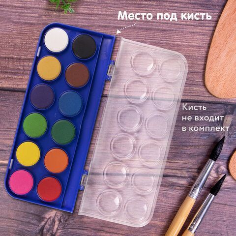 Краски акварельные BRAUBERG &quot;PREMIUM&quot; 12 цветов, круглые кюветы 28 мм, пенал, 191743