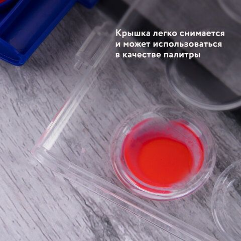 Краски акварельные BRAUBERG &quot;PREMIUM&quot; 12 цветов, круглые кюветы 28 мм, пенал, 191743