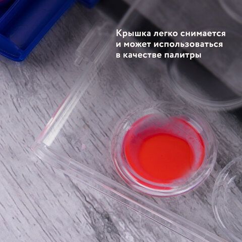 Краски акварельные BRAUBERG &quot;PREMIUM&quot; 16 цветов, круглые кюветы 23 мм, пенал, 191744