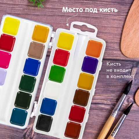 Краски акварельные BRAUBERG KIDS, медовые, 24 цвета, квадратные кюветы, пластиковый пенал, 192284