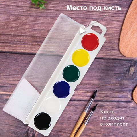 Краски акварельные BRAUBERG 6 шт. &quot;МАГИЯ ЦВЕТА NEW&quot;, медовые, 6 цветов, круглые кюветы, пластик, 192285