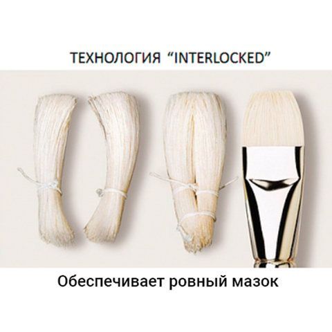 Кисть художественная профессиональная BRAUBERG ART 5 шт. CLASSIC, щетина, плоская, № 6, длинная ручка, 200715