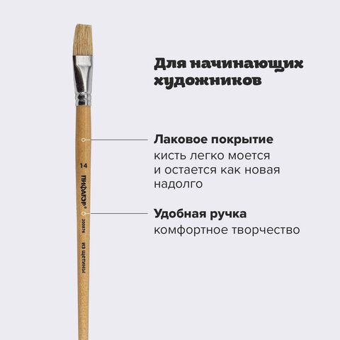 Кисть ПИФАГОР 2 шт., ЩЕТИНА, плоская, № 14, деревянная лакированная ручка, пакет с подвесом, 200876