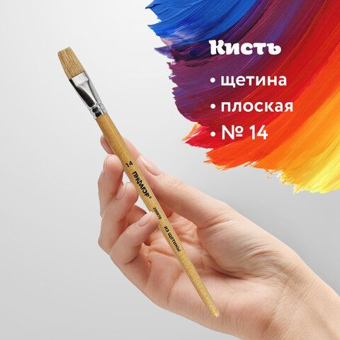 Кисть ПИФАГОР 2 шт., ЩЕТИНА, плоская, № 14, деревянная лакированная ручка, пакет с подвесом, 200876