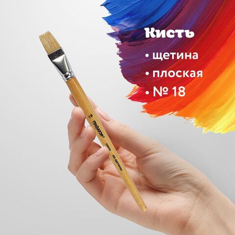 Кисть ПИФАГОР 2 шт., ЩЕТИНА, плоская, № 18, деревянная лакированная ручка, пакет с подвесом, 200878