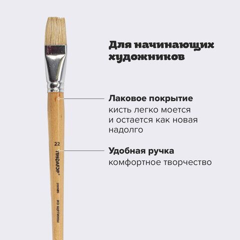 Кисть ПИФАГОР 2 шт., ЩЕТИНА, плоская, № 22, деревянная лакированная ручка, пакет с подвесом, 200880