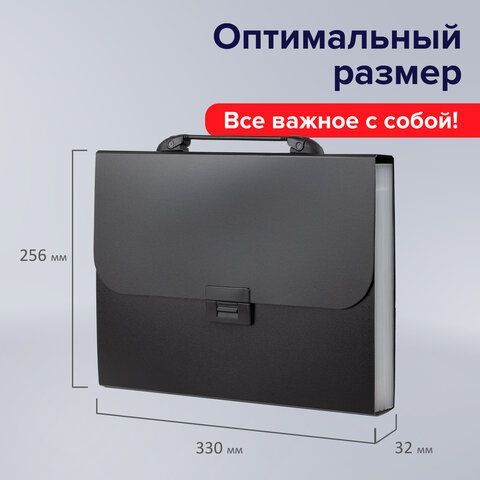 Папка-портфель пластиковая BRAUBERG &quot;Energy&quot; А4 (330х256х32 мм), 7 отделений, черная, 221204