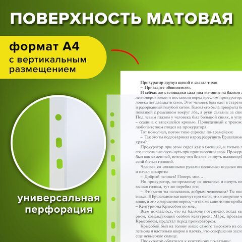 Папки-файлы перфорированные ЭКОНОМ, А4, STAFF, комплект 100 шт., матовые, 25 мкм, 226828