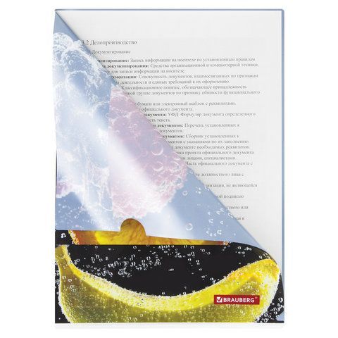 Папка-уголок BRAUBERG 3 шт. &quot;FRESH ZONE&quot;, А4, 150 мкм, цветная печать, 228035