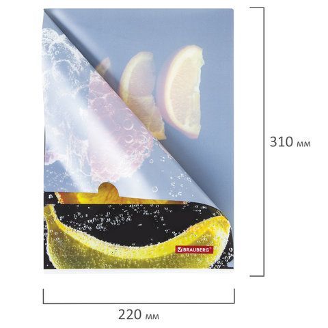 Папка-уголок BRAUBERG 3 шт. &quot;FRESH ZONE&quot;, А4, 150 мкм, цветная печать, 228035