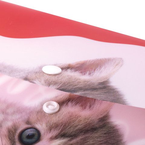 Папка-конверт с кнопкой BRAUBERG &quot;FUNNY CAT&quot;, А4, 160 мкм, цветная печать, 228038