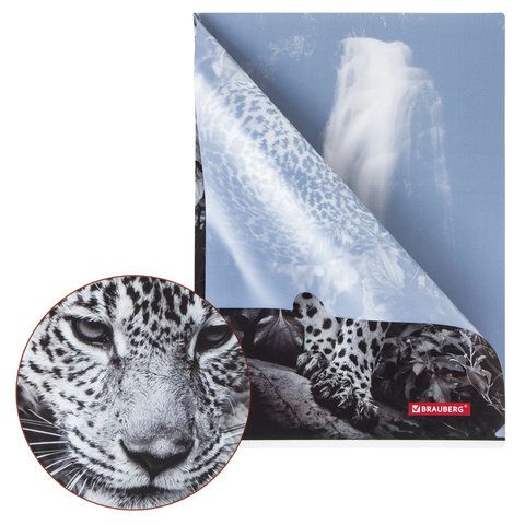 Папка-уголок BRAUBERG 3 шт. &quot;LEOPARD&quot;, А4, 150 мкм, цветная печать, 228040