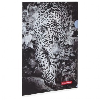 Папка-уголок BRAUBERG 3 шт. "LEOPARD", А4, 150 мкм, цветная печать, 228040