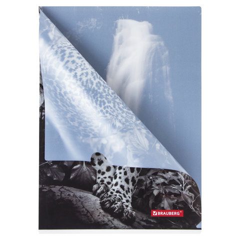 Папка-уголок BRAUBERG 3 шт. &quot;LEOPARD&quot;, А4, 150 мкм, цветная печать, 228040