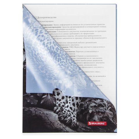 Папка-уголок BRAUBERG 3 шт. &quot;LEOPARD&quot;, А4, 150 мкм, цветная печать, 228040