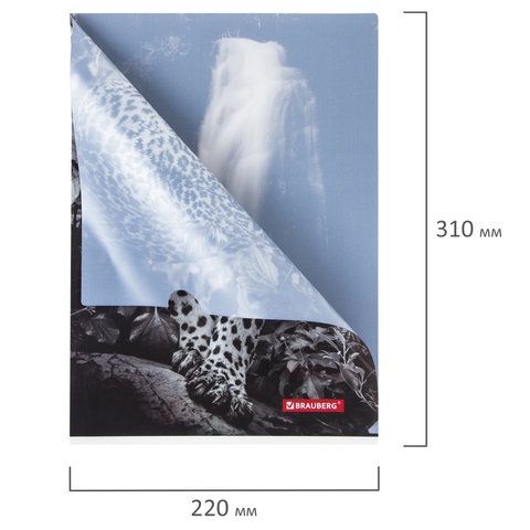 Папка-уголок BRAUBERG 3 шт. &quot;LEOPARD&quot;, А4, 150 мкм, цветная печать, 228040