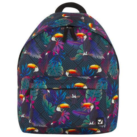 Рюкзак BRAUBERG СИТИ-ФОРМАТ универсальный, &quot;Toucans&quot;, разноцветный, 41х32х14 см, 228847