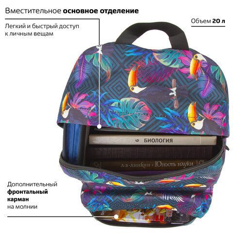 Рюкзак BRAUBERG СИТИ-ФОРМАТ универсальный, &quot;Toucans&quot;, разноцветный, 41х32х14 см, 228847