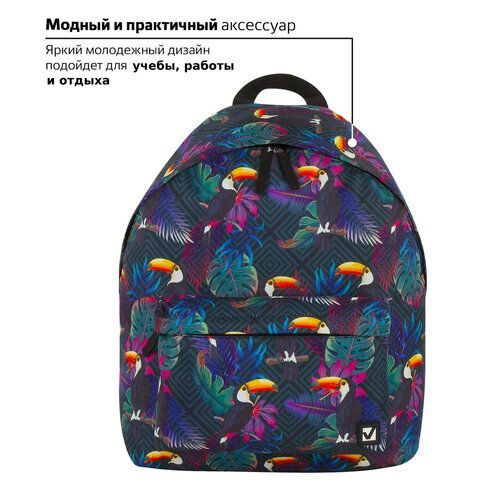 Рюкзак BRAUBERG СИТИ-ФОРМАТ универсальный, &quot;Toucans&quot;, разноцветный, 41х32х14 см, 228847