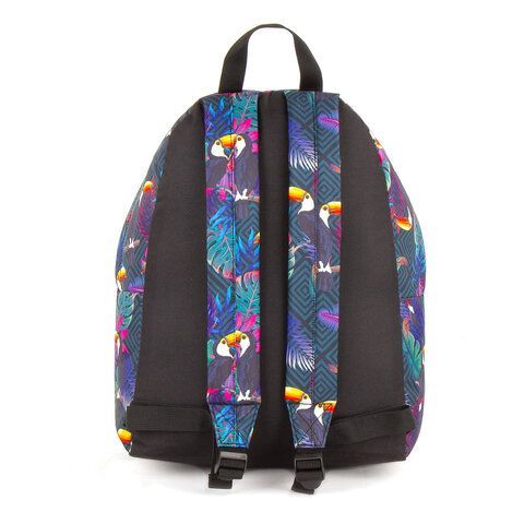 Рюкзак BRAUBERG СИТИ-ФОРМАТ универсальный, &quot;Toucans&quot;, разноцветный, 41х32х14 см, 228847